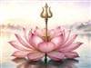 The Bloom by: LightStar