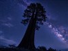 Starry Night by: LightStar