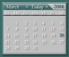 Visus calendar widget