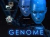 GENOME - Icons for Windows10 by: DArnaez