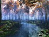 Creekside flora by: Richard Mohler