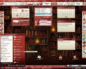Neo_Gloss-Burgundy