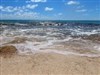 Grand Turk Waves by: Island Dog