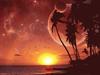 Sunset by: Scheitel