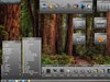 Gloss Grey Xtreme by: WebGizmos