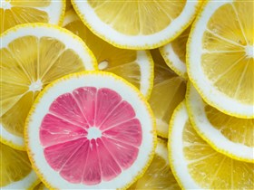 Sliced lemons