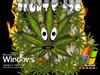 Windows BlunTZ 420