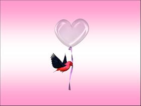 Love Bird