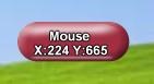 Mouse Cursor Position