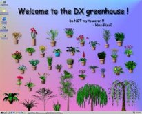 DX Greenhouse