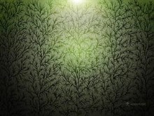 5 trees