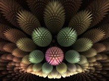 June Blooms by pm-ark