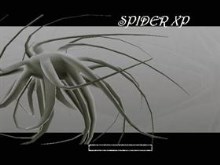 Grey Spider XP