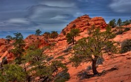 Zion Backcountry