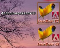 Adobe ImageReady CS