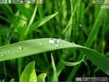 My Windows Screen