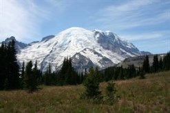 Mt. Rainier, Washington