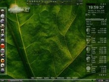 Clear Green