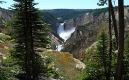 Yellowstone Canyon Lower Falls