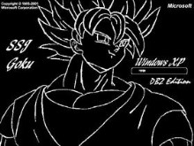 Dragonball Goku 2