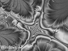 Fractal 101 (Black and White)