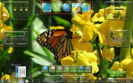 Springtime 2009