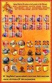 Spring Festival 2006