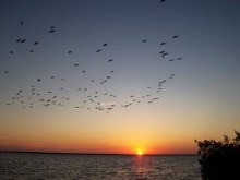 Florida Sunset