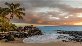 Oahu_Tropical_Cove