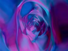 Rose_Inside