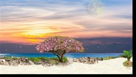 Tropical_Ocean_View
