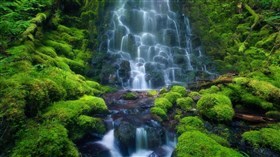 Waterfall Scenery