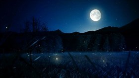 Fireflies