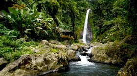 4K Bali Waterfall