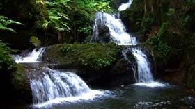 Onomea Waterfall Hawaii