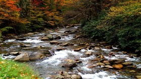 Smoky Mountains River