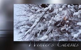 Winters Canvas