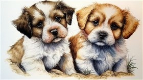 4K Cute Puppies