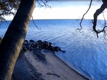 bluewaters lake