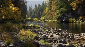 Yosemite Autumn