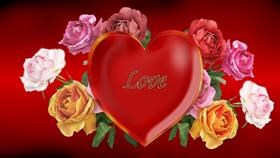 Valentine 2010