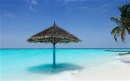 Canopy on the Beach