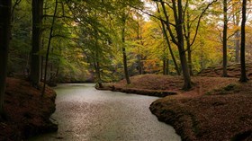 Autumn in Wassenaar