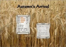 Autumn's Arrival Widget Pack