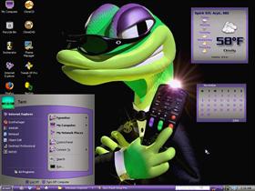 One Cool Gecko