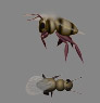 Bug1