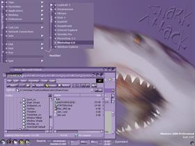 Shark Attack2
