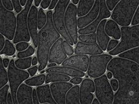Cell