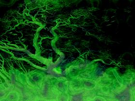 tree of crows