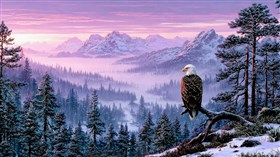Freedom